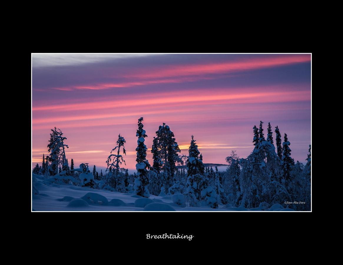 Lannavaara Lodge Esterno foto